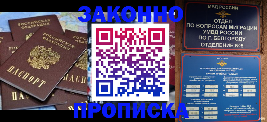 прописка поиск в Ростове-на-Дону
